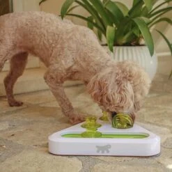 Ferplast TREA Gioco Di Abilità Per Gatti E Cani Con Nascondigli Per Crocchette. Variante TREA - Misure: 24.5 X 22 X H 6 Cm - 9 Ferplast TREA Gioco Di Abilità Per Gatti E Cani Con Nascondigli Per Crocchette. Variante TREA - Misure: 24.5 X 22 X H 6 Cm - -Cibi per gatti Italia 10506290 3