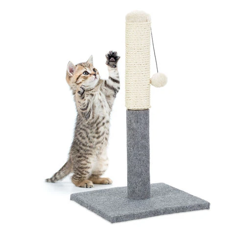Relaxdays Tiragraffi A Colonna Per Gatti, Autoportante, Graffiatoio Con Tronco In Sisal & Pallina Per Giocare, Per Interni, 54 Cm, Grigio 3 Relaxdays Tiragraffi A Colonna Per Gatti, Autoportante, Graffiatoio Con Tronco In Sisal & Pallina Per Giocare, Per Interni, 54 Cm, Grigio