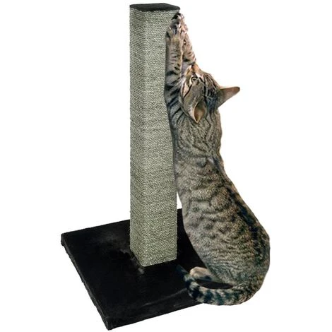 Ferribiella Tiragraffi Per Gatto A Colonna Altezza 105 Cm Graffiatoio Per Gatti 3 Ferribiella Tiragraffi Per Gatto A Colonna Altezza 105 Cm Graffiatoio Per Gatti