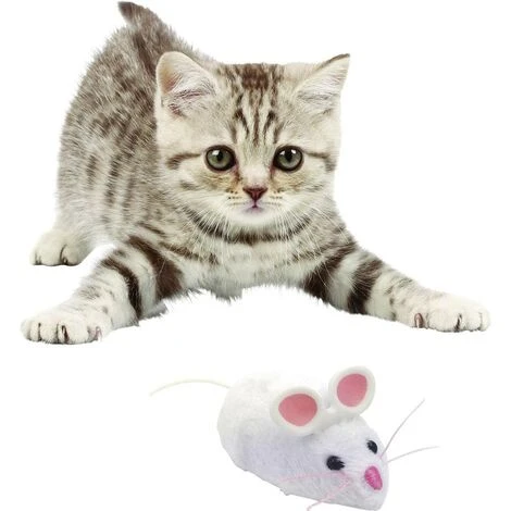 HexBug Mouse Cat Toy Robot In Kit Da Montare 4 HexBug Mouse Cat Toy Robot In Kit Da Montare - immagine 2