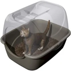 Lettiera Per Gatti Prive' Tortora Box Antiodore Portatile Con Paletta Bama Pet -Cibi per gatti Italia 16165138 4