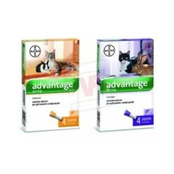 Bayer Advantage Antipulci Per Gatti E Conigli Piccoli Inferiori A 4 Kg