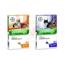 Bayer Advantage Antipulci Per Gatti E Conigli Grandi Superiori A 4 Kg