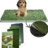 Lettiera Maxy Per Cucciolo Cane Erba WC Panno Assorbente Potty Cuccioli Casa -Cibi per gatti Italia 20039435 1