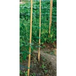 Canna Bamboo Serie Pesante