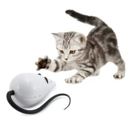 Gioco Per Gatti Automatico RoloRat FroliCat -Cibi per gatti Italia 25525073 3