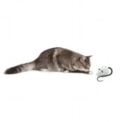 Gioco Per Gatti Automatico RoloRat FroliCat -Cibi per gatti Italia 25525073 4