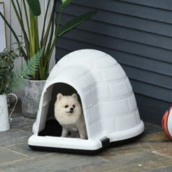 PawHut Cuccia Da Esterno Per Cani Di Taglia Piccola A Forma Di Igloo Con Porta -Cibi per gatti Italia 28384739 2