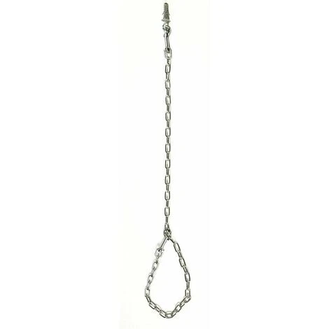 Record Catena Cromata Da Toelettatore Modello Premium Per Cani E Gatti: Catena Sottile 100x3x0,25 Cm 3 Record Catena Cromata Da Toelettatore Modello Premium Per Cani E Gatti: Catena Sottile 100x3x0,25 Cm