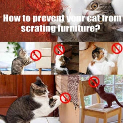 Protezione Antigraffio Per Gatti Amanti Dei Gatti Protezione Del Divano Necessaria Mobili Per Divani Giocattolo Antistress Per Gatti Messaggi Graffi (Tipo Normale Senza Chiodo) -Cibi per gatti Italia 30436372 4