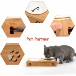 Ciotola Per Gatti In Ceramica, Ciotola Per Gatti In Bambù Ciotola Gatti Anti Glutton Ciotola Doppia Per Gatti Ciotola Per Gatti 11 Ciotola Per Gatti In Ceramica, Ciotola Per Gatti In Bambù Ciotola Gatti Anti Glutton Ciotola Doppia Per Gatti Ciotola Per Gatti -Cibi per gatti Italia 30853430 5