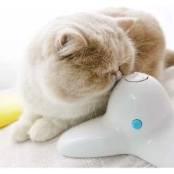 Gioco Interattivo Per Gatti Da Interno Con Farfalla Che Può Essere Ruotata Di 360 ° 10 Gioco Interattivo Per Gatti Da Interno Con Farfalla Che Può Essere Ruotata Di 360 ° -Cibi per gatti Italia 30854834 4