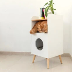 Tavolino Per Gatti, Casa Per Gatti, Comodino, Casa Per Animali Domestici, Comodino Per Animali Domestici, Casa Per Gatti Decorativa, Bianco -Cibi per gatti Italia 34349330 3