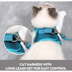 Pettorina E Guinzaglio Per Gatti Ultraleggeri Giacca Da Passeggio Per Gatti Da Corsa Morbida E Confortevole, A Prova Di Perdite, Adatta Per Cuccioli Di Coniglio (Turq, XS) -Cibi per gatti Italia 35581642 4