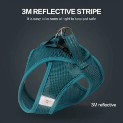 Pettorina E Guinzaglio Per Gatti Ultraleggeri Giacca Da Passeggio Per Gatti Da Corsa Morbida E Confortevole, A Prova Di Perdite, Adatta Per Cuccioli Di Coniglio (Turq, XS) -Cibi per gatti Italia 35581642 5