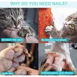 SOEKAVIA Tagliaunghie Professionale Per Cani E Gatti, Tagliaunghie Con Lima Per Cani, Gatti, Uccelli E Artigli Di Tutte Le Dimensioni Con Chiusura Di Sicurezza E Lima Per Unghie 11 SOEKAVIA Tagliaunghie Professionale Per Cani E Gatti, Tagliaunghie Con Lima Per Cani, Gatti, Uccelli E Artigli Di Tutte Le Dimensioni Con Chiusura Di Sicurezza E Lima Per Unghie -Cibi per gatti Italia 35821199 5