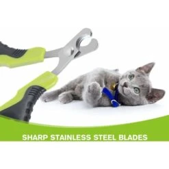 SOEKAVIA Tagliaunghie Professionale Per Gatti, Tagliaunghie Per Cuccioli Di Coniglio E Piccoli Animali, Forbici Per Unghie Curve In Acciaio Inossidabile, Tagliaunghie Portatili, Accessori Per Conigli 10 SOEKAVIA Tagliaunghie Professionale Per Gatti, Tagliaunghie Per Cuccioli Di Coniglio E Piccoli Animali, Forbici Per Unghie Curve In Acciaio Inossidabile, Tagliaunghie Portatili, Accessori Per Conigli -Cibi per gatti Italia 36004186 4