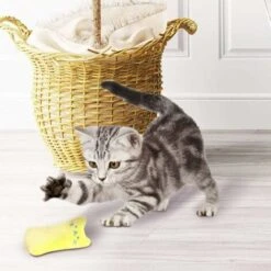 SOEKAVIA Catnip Peluche Giocattolo Per Gatti Catnip ， Articoli Per Animali Domestici, Prodotti Per La Masticazione Del Gatto E Detergente Per I Denti ， Giocattoli Naturali Per Gatti Per Tutti I Gatti -Cibi per gatti Italia 36004300 5