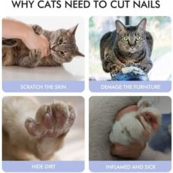 SOEKAVIA Forbicine Per Unghie, Forbicine Per Unghie Per Animali Domestici, Clip Per Unghie In Acciaio Inossidabile Con Lima Per Unghie E Limite Di Sicurezza, Per Cani, Gatti, Uccelli, Roditori E Quals -Cibi per gatti Italia 36004308 4