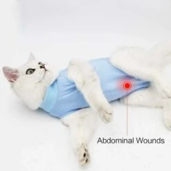 SOEKAVIA Cat Professional Recovery Adatto Per Ferite Del Colletto Addominale O Malattie Della Pelle, Alternativa Per Cani E Gatti, Abbigliamento Post-operatorio, Abbigliamento Per La Casa (S, Blu) -Cibi per gatti Italia 36004655 5