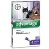 BAYER ADVANTAGE SPOT ON 80 GATTI OLTRE KG.4 -Cibi per gatti Italia 36063790 1