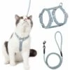 Kueatily Guinzaglio Regolabile Per Gattini (blu-verde S) Per Gattini Piccoli Cani In Nylon Con Guinzaglio Resistente Alla Sicurezza Per Gattini Piccoli Animali Domestici