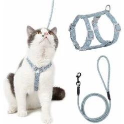 Kueatily Guinzaglio Regolabile Per Gattini (blu-verde S) Per Gattini Piccoli Cani In Nylon Con Guinzaglio Resistente Alla Sicurezza Per Gattini Piccoli Animali Domestici