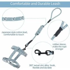 Kueatily Guinzaglio Regolabile Per Gattini (blu-verde S) Per Gattini Piccoli Cani In Nylon Con Guinzaglio Resistente Alla Sicurezza Per Gattini Piccoli Animali Domestici -Cibi per gatti Italia 47436659 3