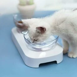 Kueatily Ciotola Per Gatti, Ciotola Per Gatti Elevata Per Animali Domestici Piattaforma Inclinata Di 15° Mangiatoia Per Gatti Doppio Angolo Regolabile In Altezza Perfetta Per Gatti E Cani Di Piccola T 7 Kueatily Ciotola Per Gatti, Ciotola Per Gatti Elevata Per Animali Domestici Piattaforma Inclinata Di 15° Mangiatoia Per Gatti Doppio Angolo Regolabile In Altezza Perfetta Per Gatti E Cani Di Piccola T -Cibi per gatti Italia 47437875 3