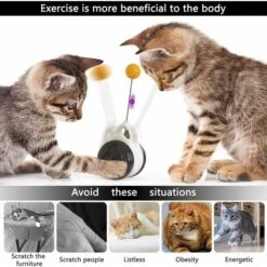 Kueatily Giocattolo Interattivo Per Gatti - Altalena Bilanciata - Sfera Rotante A 360 Gradi - Con Erba Gatta - Stimola L'istinto Di Caccia Attraente - Giocattolo Di Addestramento Del Gatto 11 Kueatily Giocattolo Interattivo Per Gatti - Altalena Bilanciata - Sfera Rotante A 360 Gradi - Con Erba Gatta - Stimola L'istinto Di Caccia Attraente - Giocattolo Di Addestramento Del Gatto -Cibi per gatti Italia 47437990 5
