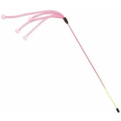 Record Stuzzicagatto Con Frange E Pompon Per Gatti - Rosa -Cibi per gatti Italia 51827745 2