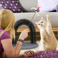 Relaxdays Arco Massaggiatore Per Gatti, Con Erba Gatta, Spazzola Massaggiante, Cura Del Pelo, Nero -Cibi per gatti Italia 51971745 5
