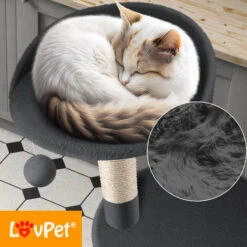 KESSER® Palo Tiragraffi Per Gatti Albero Per Gatti, Torre Per Arrampicarsi, Con Tronchi In Sisal, Tana, Con Grotta, Palline, Sisal E Corda Per Giocare, Altezza 112 Cm, Con Tante Opzioni Di Gioco E Coc 9 KESSER® Palo Tiragraffi Per Gatti Albero Per Gatti, Torre Per Arrampicarsi, Con Tronchi In Sisal, Tana, Con Grotta, Palline, Sisal E Corda Per Giocare, Altezza 112 Cm, Con Tante Opzioni Di Gioco E Coc -Cibi per gatti Italia 51985395 3