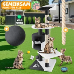 KESSER® Palo Tiragraffi Per Gatti Albero Per Gatti, Torre Per Arrampicarsi, Con Tronchi In Sisal, Tana, Con Grotta, Palline, Sisal E Corda Per Giocare, Altezza 112 Cm, Con Tante Opzioni Di Gioco E Coc 11 KESSER® Palo Tiragraffi Per Gatti Albero Per Gatti, Torre Per Arrampicarsi, Con Tronchi In Sisal, Tana, Con Grotta, Palline, Sisal E Corda Per Giocare, Altezza 112 Cm, Con Tante Opzioni Di Gioco E Coc -Cibi per gatti Italia 51985395 5