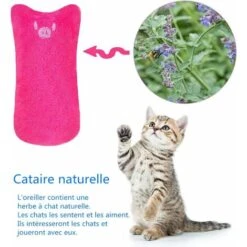 Giocattolo Per Gatti, Giocattoli Per Gatti Da Interno, Gatto In Peluche, Giocattoli Con Catnip-5PCS, Adatto Per Giocattoli Da Masticare Per Gatti Da Interni E Giocattoli Per La Pulizia Dei Denti Set D -Cibi per gatti Italia 52009829 3