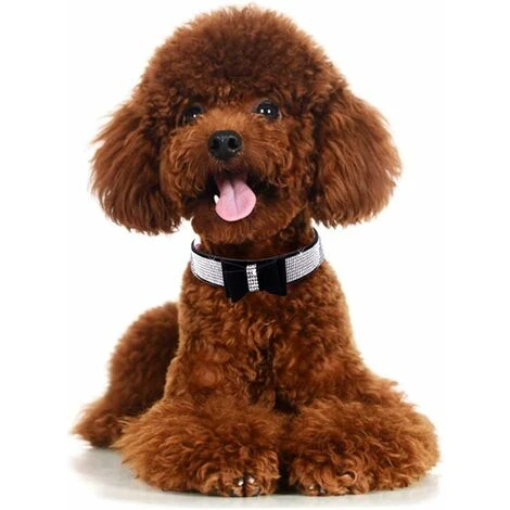 Collare Per Cani Con Strass, Lucido, Morbido Camoscio, Per Cani E Gatti (taglia S, Nero) 4 Collare Per Cani Con Strass, Lucido, Morbido Camoscio, Per Cani E Gatti (taglia S, Nero) - immagine 2