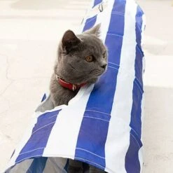 Tunnel Per Gatti Giocattolo Gioco - Pieghevole Gioco Interattivo Tunnel Lungo 130 Cm Adatto Per Gatti, Cuccioli, Conigli E Altri Piccoli Animali Di Piccola Taglia, Facile Da Riporre. -Cibi per gatti Italia 52012985 5