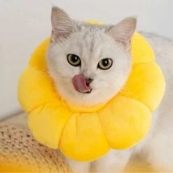 LangRay Collare Elisabettiano 1 Pezzo, Collare Per Il Recupero Del Gatto Collare Protettivo Regolabile Con Bordo Morbido Traspirante Collare Per Animali Domestici Progettato, Fiore Del Sole, S -Cibi per gatti Italia 52015306 3