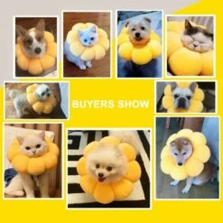 LangRay Collare Elisabettiano 1 Pezzo, Collare Per Il Recupero Del Gatto Collare Protettivo Regolabile Con Bordo Morbido Traspirante Collare Per Animali Domestici Progettato, Fiore Del Sole, S -Cibi per gatti Italia 52015306 4