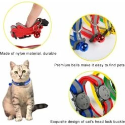 Collare Per Gatti LangRay, 6 Cuccioli Di Gattini Riflettenti Regolabili Anti Strangolamento Con Campanello E Fibbia Di Sicurezza, Per Cuccioli Di Gatto Di Taglia Piccola E Media 8 Collare Per Gatti LangRay, 6 Cuccioli Di Gattini Riflettenti Regolabili Anti Strangolamento Con Campanello E Fibbia Di Sicurezza, Per Cuccioli Di Gatto Di Taglia Piccola E Media -Cibi per gatti Italia 52015708 2