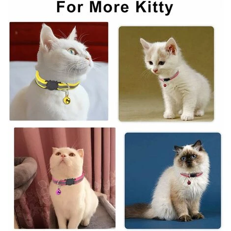 Collare Per Gatti LangRay, 6 Cuccioli Di Gattini Riflettenti Regolabili Anti Strangolamento Con Campanello E Fibbia Di Sicurezza, Per Cuccioli Di Gatto Di Taglia Piccola E Media 7 Collare Per Gatti LangRay, 6 Cuccioli Di Gattini Riflettenti Regolabili Anti Strangolamento Con Campanello E Fibbia Di Sicurezza, Per Cuccioli Di Gatto Di Taglia Piccola E Media - immagine 5