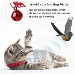 LangRay 6X Collare Per Cuccioli Di Gattini Regolabile Riflettente Anti Strangolamento Con Campanello E Fibbia Di Sicurezza, Simpatica Fornitura Di Animali Multicolori (A6) 10 LangRay 6X Collare Per Cuccioli Di Gattini Regolabile Riflettente Anti Strangolamento Con Campanello E Fibbia Di Sicurezza, Simpatica Fornitura Di Animali Multicolori (A6) -Cibi per gatti Italia 52015753 4