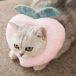 LangRay Isabelino Heiqlay Collare, Collare Recupero Gatto Collare Protettivo Regolabile Bordo Morbido Traspirante Progettato Collare Per Animali Domestici (1pz, Rosa Peach Heart, M) -Cibi per gatti Italia 52016151 4