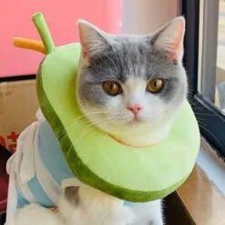 LangRay Heiqlay Collare Elisabettiano, Collare Di Recupero Per Gatti Collare Protettivo Regolabile Con Bordo Morbido Traspirante Collare Protettivo Per Animali Domestici (1pz, Avocado Green, L) -Cibi per gatti Italia 52016153 3