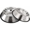 LangRay 2 Ciotole Per Cani In Acciaio Inossidabile Con Base In Gomma Antiscivolo, Piccola Ciotola Per Animali Domestici E Ciotola Per L'acqua (fondo: 15 Cm. Bocca Ciotola: 11 Cm) 2 LangRay 2 Ciotole Per Cani In Acciaio Inossidabile Con Base In Gomma Antiscivolo, Piccola Ciotola Per Animali Domestici E Ciotola Per L'acqua (fondo: 15 Cm. Bocca Ciotola: 11 Cm) -Cibi per gatti Italia 52016319 1