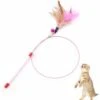 LangRay Cat Feather Toy Pets Training Tease Interactive Toy Kitten Chaser Per Esercizio Di Gioco Divertente 2 LangRay Cat Feather Toy Pets Training Tease Interactive Toy Kitten Chaser Per Esercizio Di Gioco Divertente -Cibi per gatti Italia 52016496 1