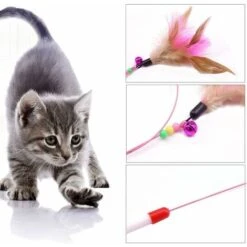 LangRay Cat Feather Toy Pets Training Tease Interactive Toy Kitten Chaser Per Esercizio Di Gioco Divertente 7 LangRay Cat Feather Toy Pets Training Tease Interactive Toy Kitten Chaser Per Esercizio Di Gioco Divertente -Cibi per gatti Italia 52016496 3