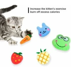 5 Pezzi Catnip Toys, Catnip Cat Toys Peluche Catnip Toys Catnip Interactive Masticare Giocattoli Per Gattino Gattino Gatto -Cibi per gatti Italia 52017000 4