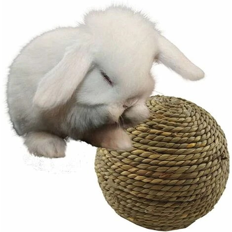 Palla Di Erba Naturale Masticabile Per Animali Domestici Per Piccoli Giocattoli Per La Pulizia Dei Denti Di Gatto Roditore 3 Palla Di Erba Naturale Masticabile Per Animali Domestici Per Piccoli Giocattoli Per La Pulizia Dei Denti Di Gatto Roditore