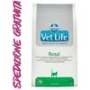 Farmina Vet Life Renal Gatto Kg5 Lunga Scadenza 1 Farmina Vet Life Renal Gatto Kg5 Lunga Scadenza -Cibi per gatti Italia 52878924 1